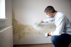 Why You Should Choose Our Mold Remediation Services in Pecatonica, IL